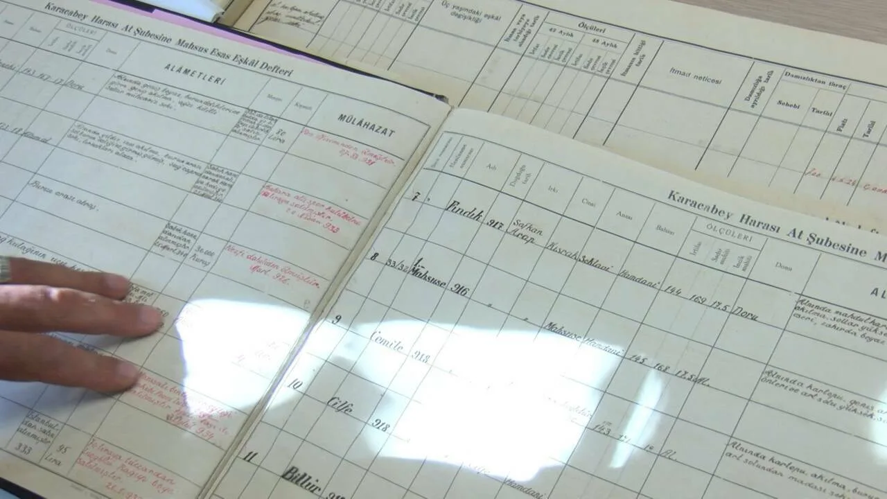 dna ornekleri alinan atlara mikrocip ile kimlik numarasi verilip nufus kayitlari tutuluyor 75c82ec9d6f5