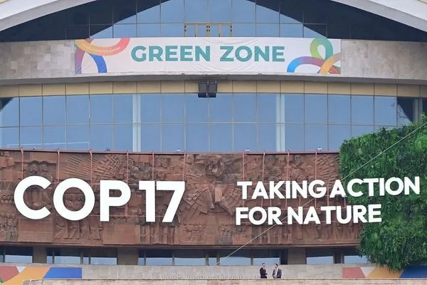 COP17 Başkanı: Çin, müzakerelerin ilerlemesine önemli katkı sağlıyor