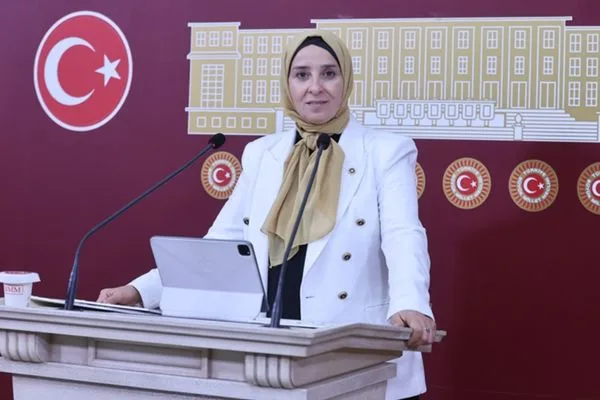 Esen: Hükümetin refah bütçesi, vatandaşın sabır bütçesi