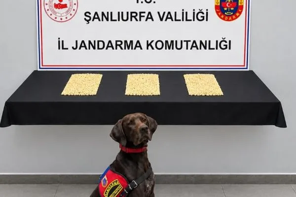 Şanlıurfa’da uyuşturucu operasyonu: 2 bin 970 Captagon hap ele geçirildi