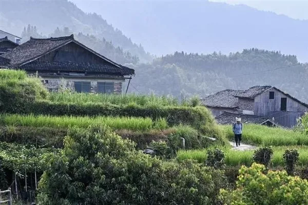 Kentli turistler ilçeleri tercih ederken çiftçiler kentlere akın ediyor